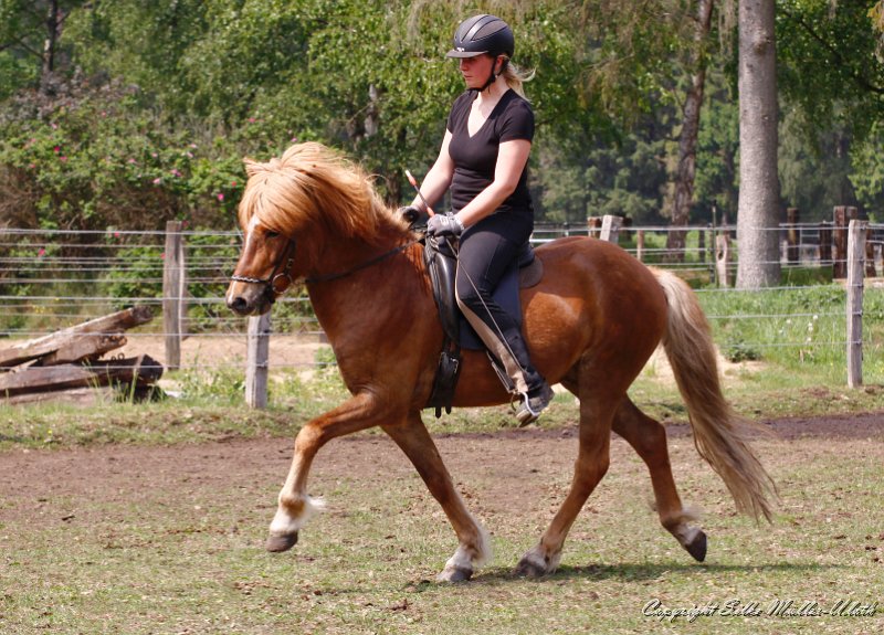 Fjandi 20110521 h.jpg - Fjandi von Heidmoor